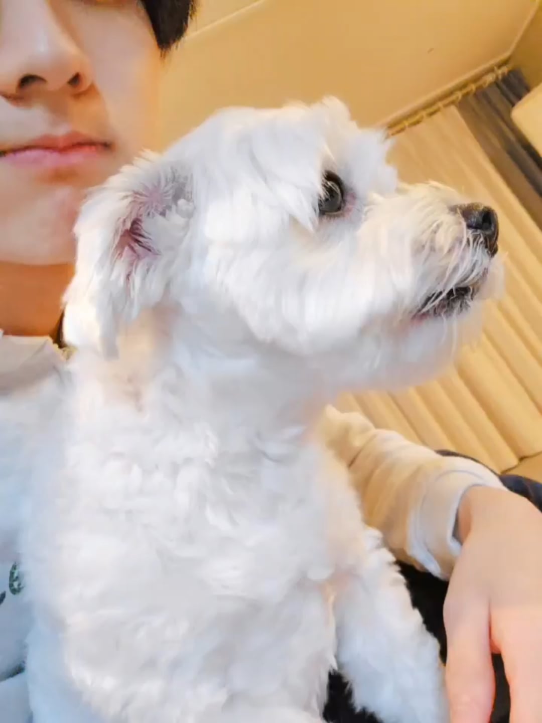 240322 Weverse: Jungwon