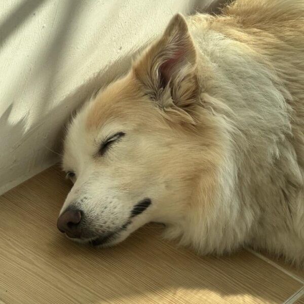 240323 Weverse: Jake