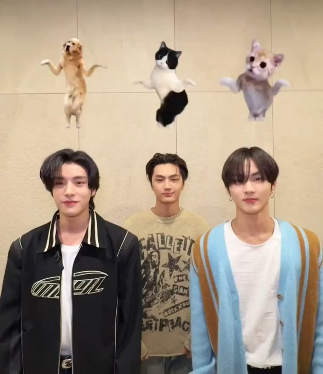 240319 Douyin: Jake, Jay, Jungwon