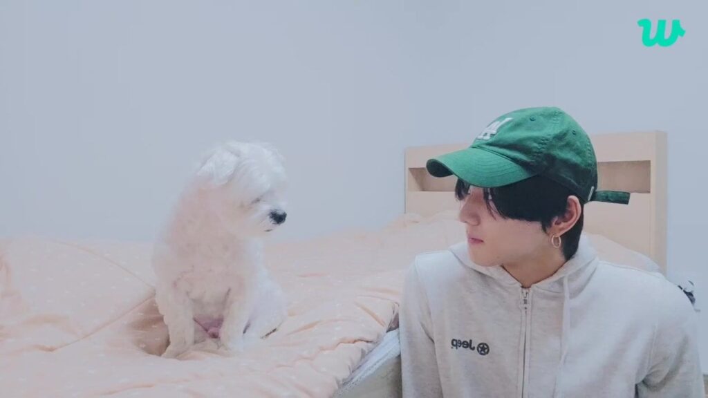 240303 [Weverse Live: Jungwon] Hi