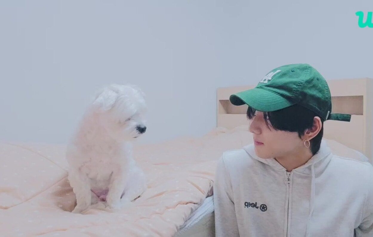 240303 [Weverse Live: Jungwon] Hi