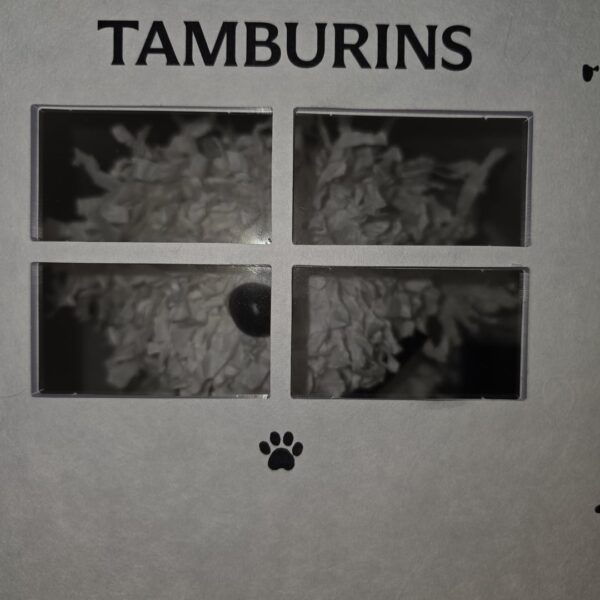 240322 Twitter: Sunoo @ Tamburins