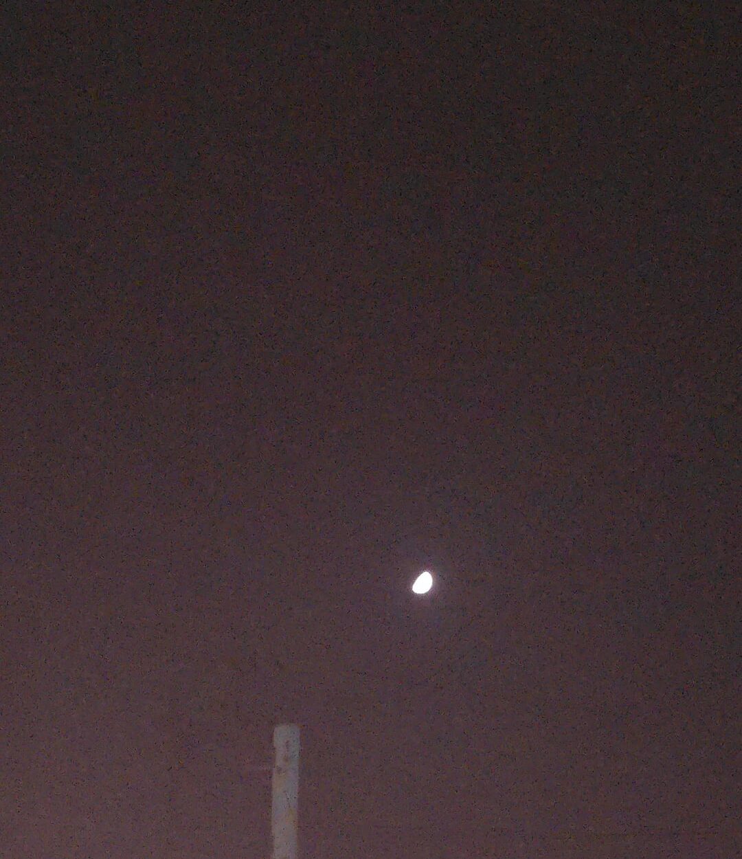 240420 Weverse: Sunoo