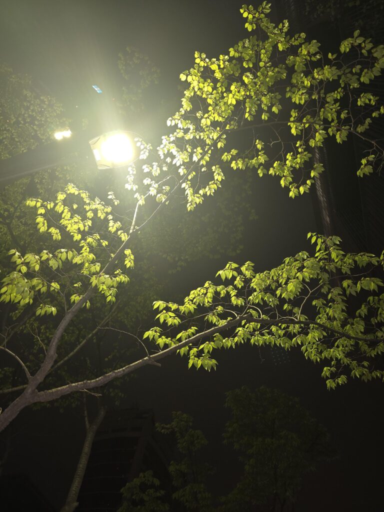 240416 Weverse: Sunoo
