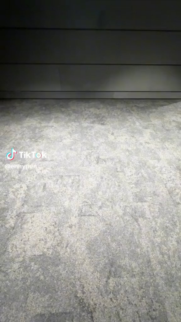 240430 Tiktok: Jake & Sunghoon