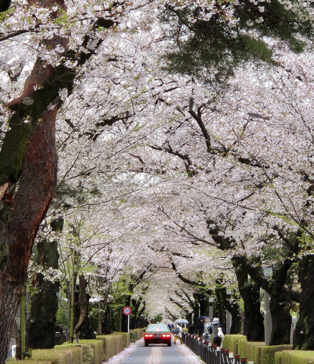 240414 Weverse: Sunghoon