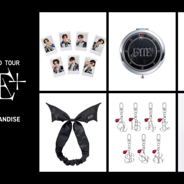 240404 'FATE PLUS' IN JAPAN OFFICIAL MERCHANDISE Pre-order