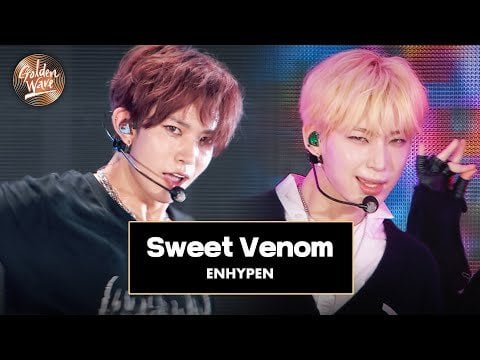 240504 ENHYPEN - Sweet Venom @ Golden Wave in Taiwan (240413)