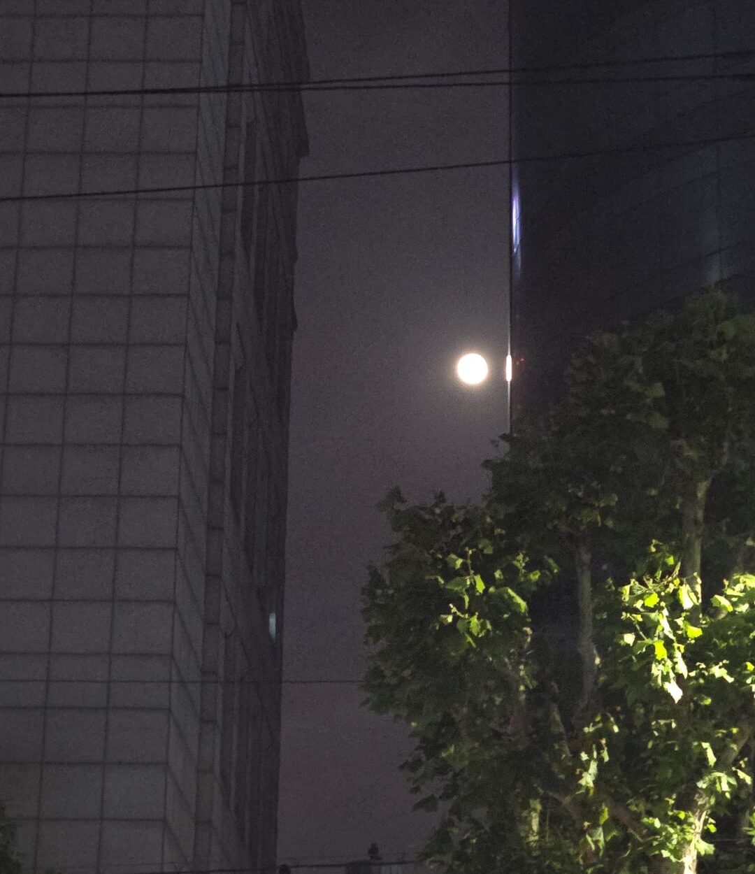 240525 Weverse: Sunoo