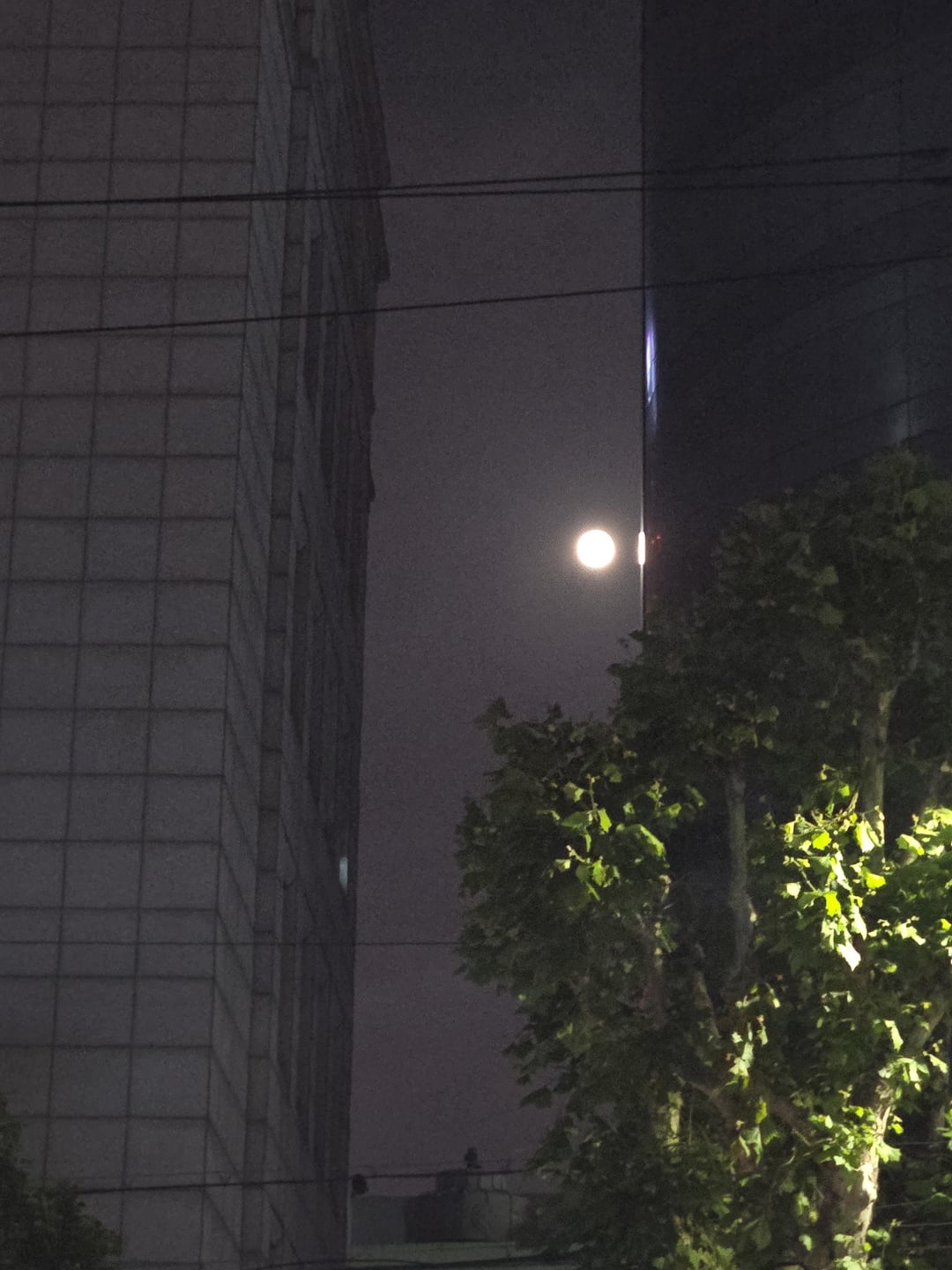 240525 Weverse: Sunoo