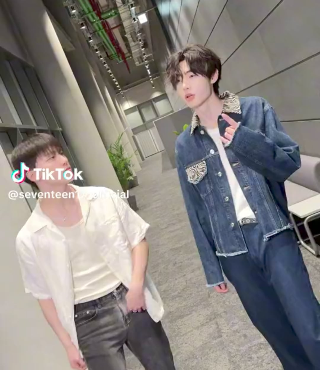 240504 Seventeen Tiktok: Dino with Sunghoon