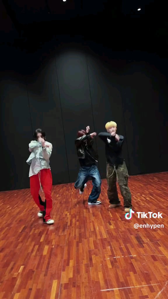 240531 Tiktok: ENHYPEN