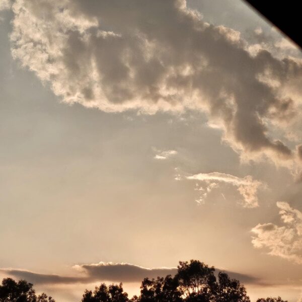 240531 Weverse: Ni-ki