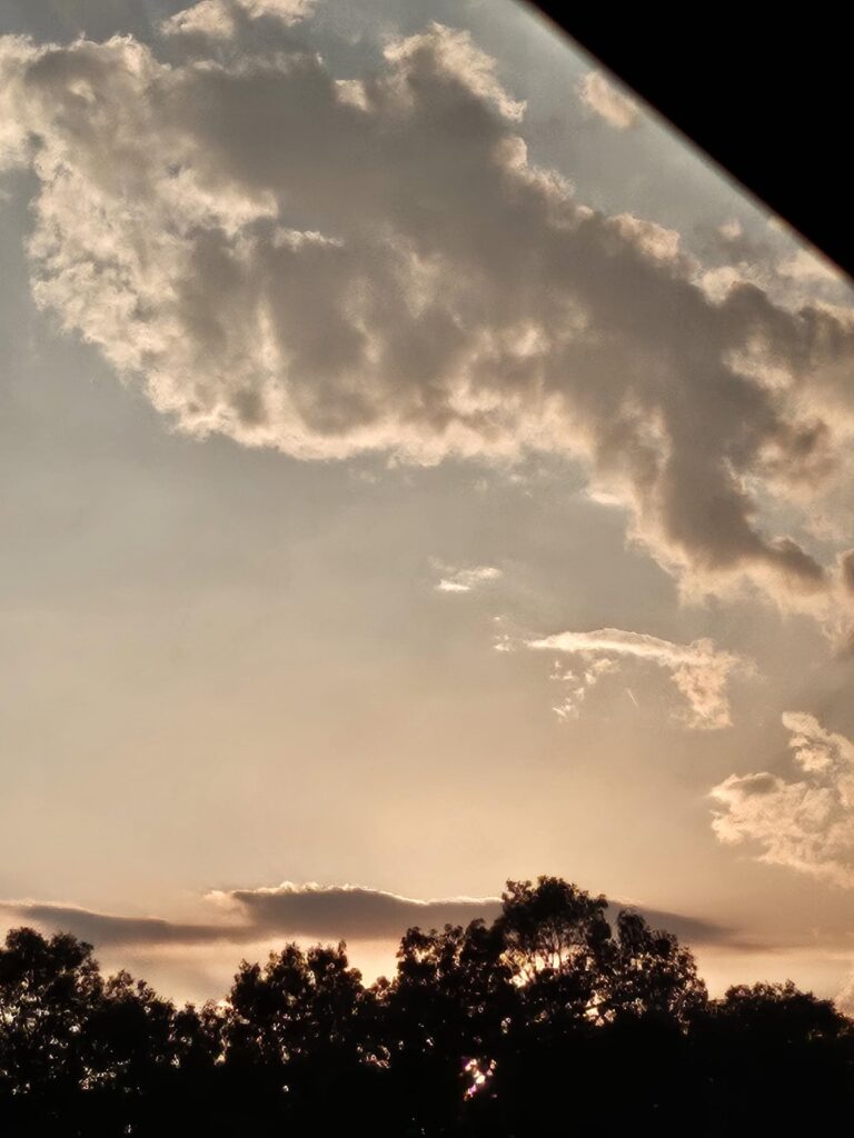 240531 Weverse: Ni-ki