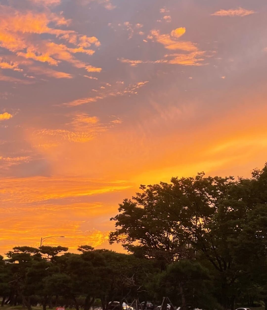 240611 ENHYPEN Instagram Stories