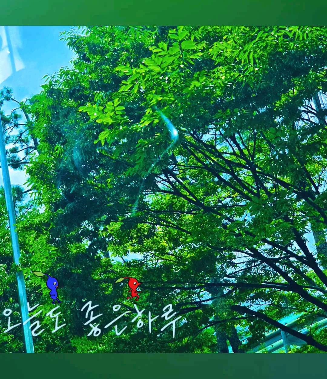 240617 Weverse Moment: Sunoo