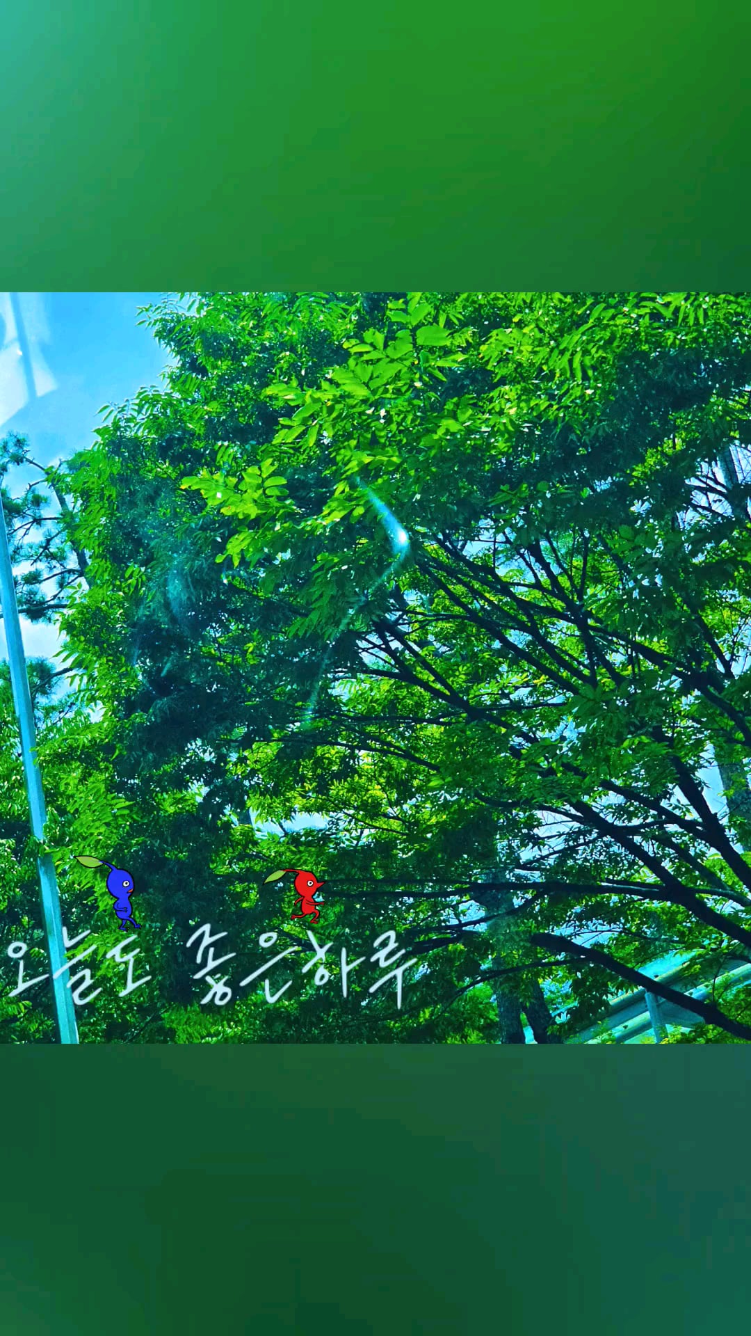 240617 Weverse Moment: Sunoo