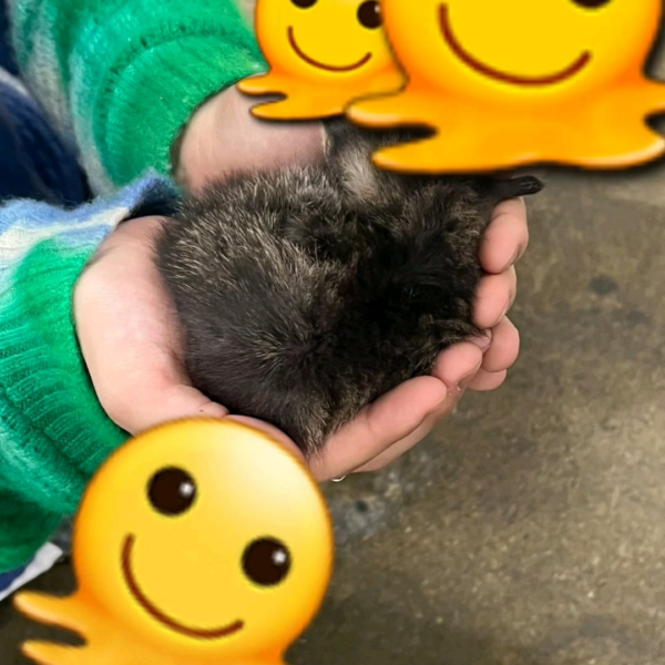 240603 Weverse Moment: Ni-ki