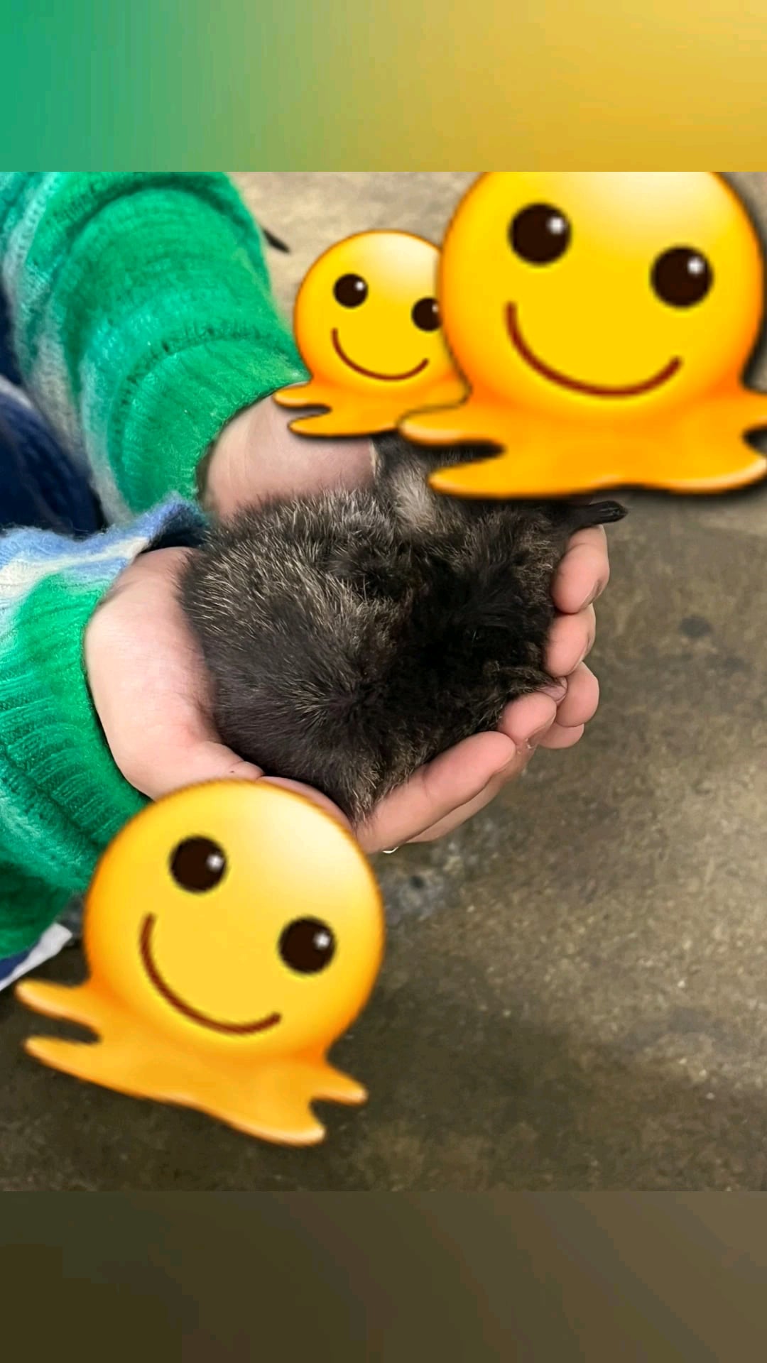 240603 Weverse Moment: Ni-ki