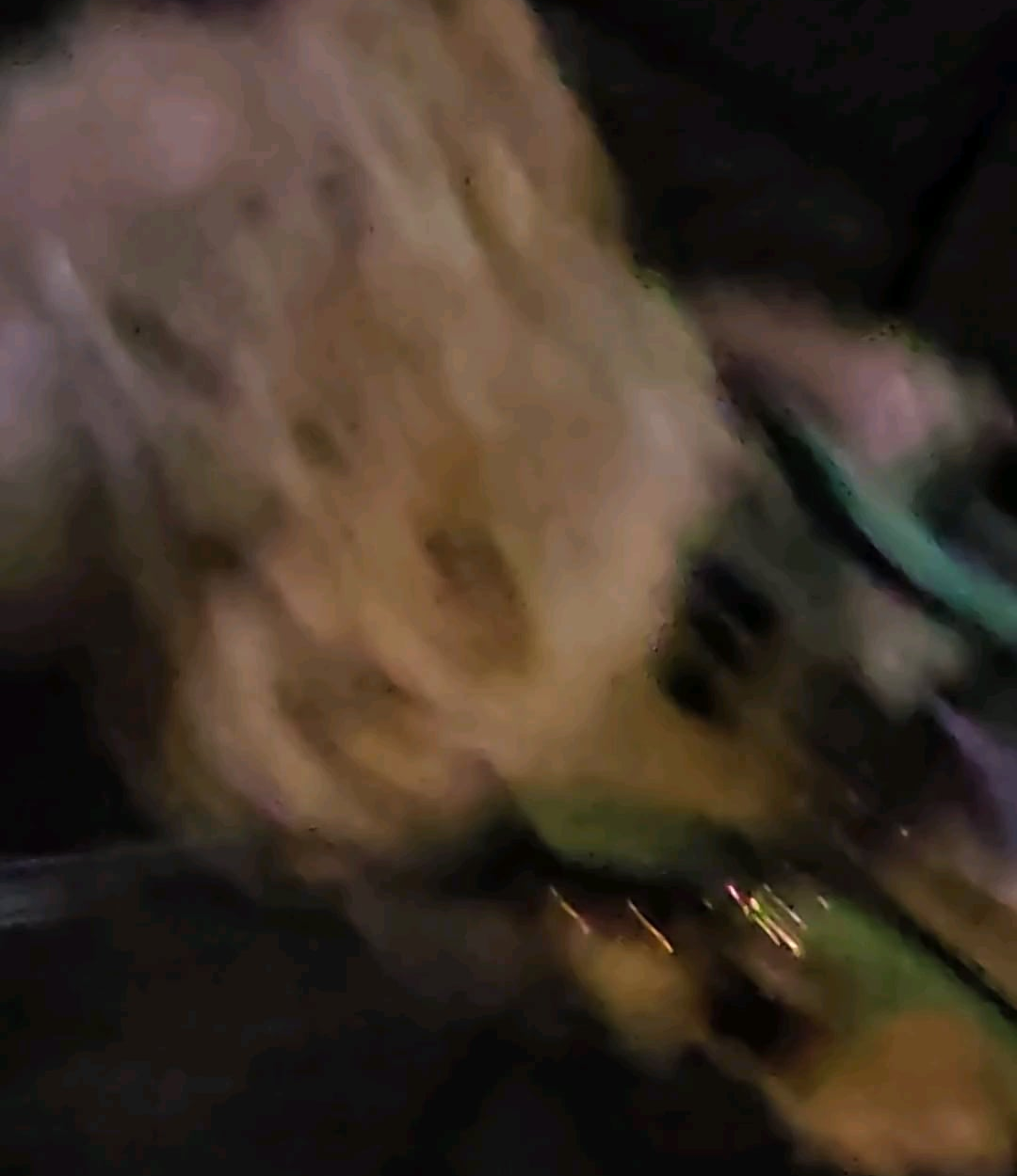 240627 Weverse: Ni-ki