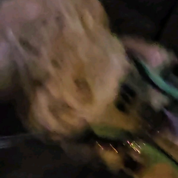 240627 Weverse: Ni-ki