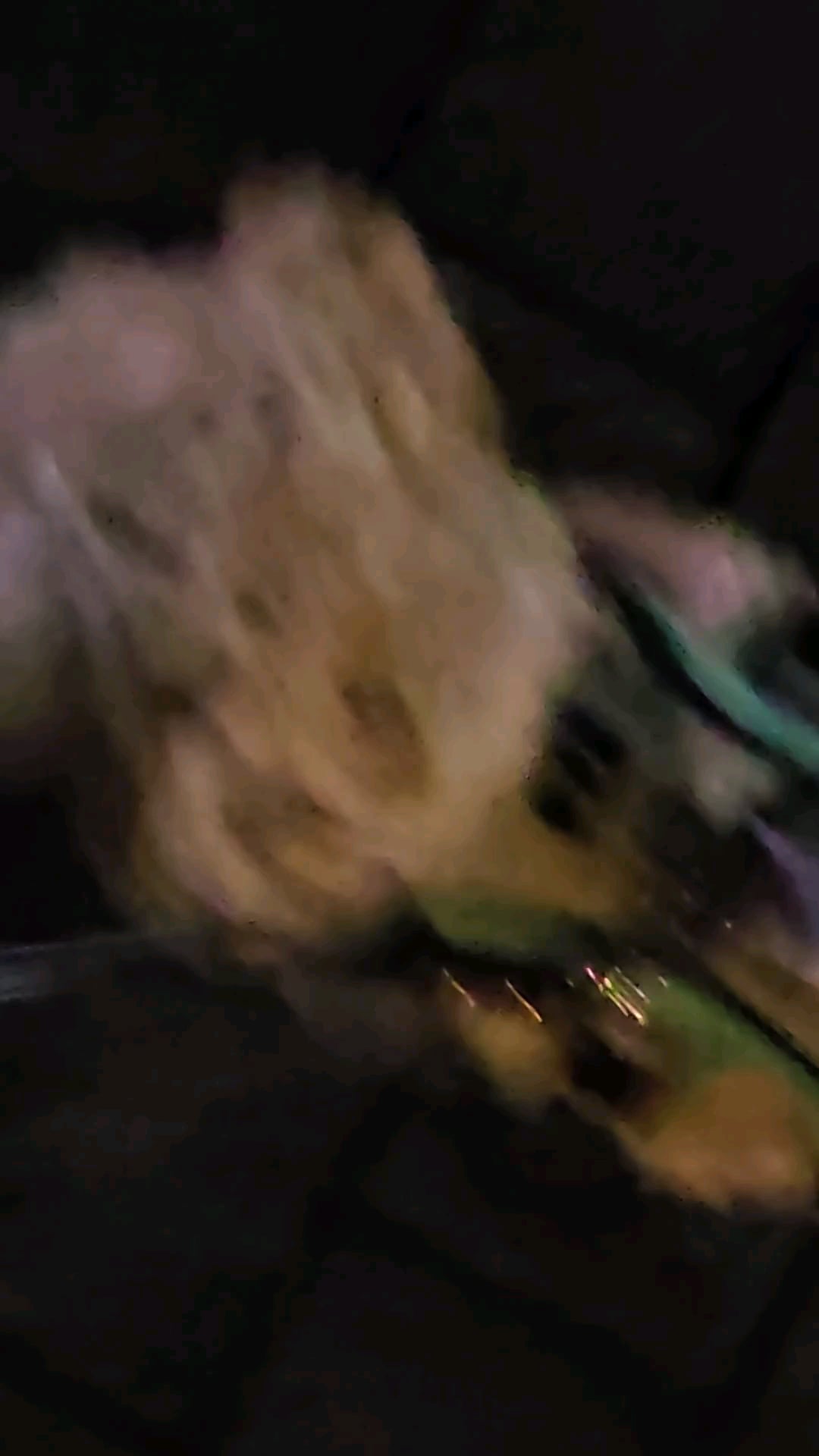 240627 Weverse: Ni-ki
