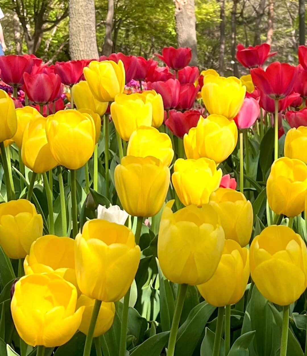 240612 ENHYPEN Instagram Stories