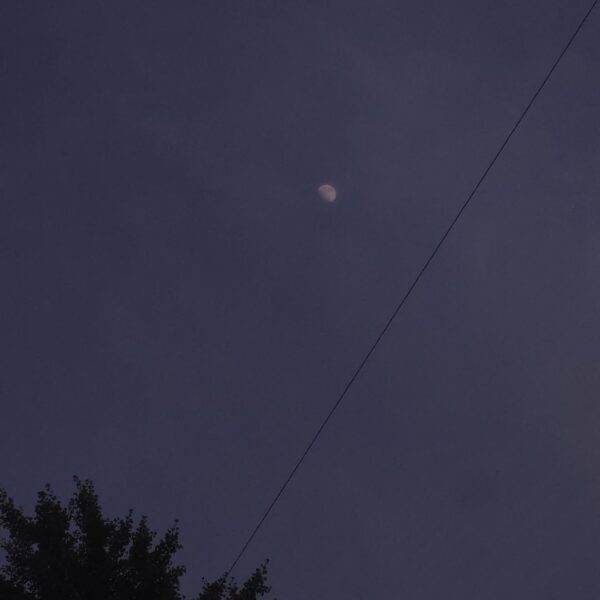 240618 Weverse: Sunoo