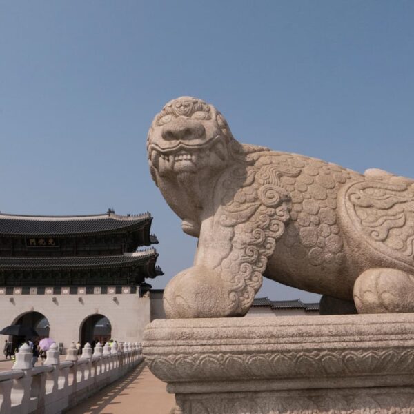 240613 JJONG DDU DDU in SEOUL <Spring Trip> Photo Sketch 📸