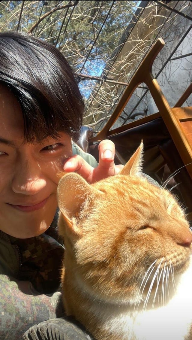 drop your favorite pics of enhypen!
