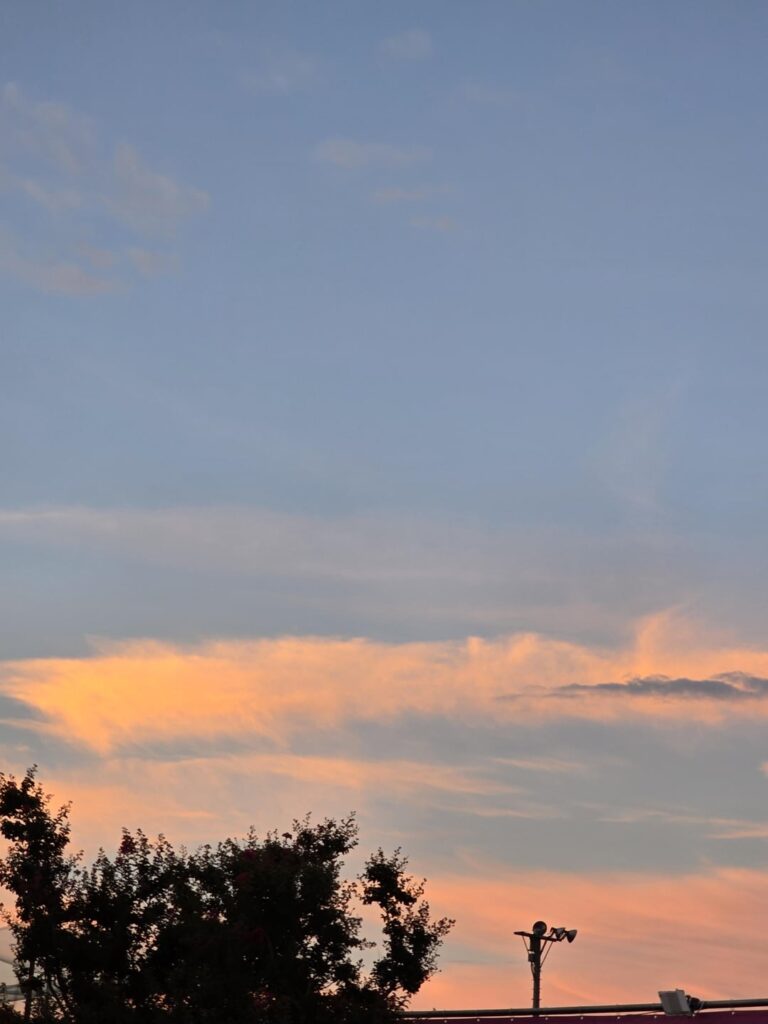 240811 Weverse: Sunoo
