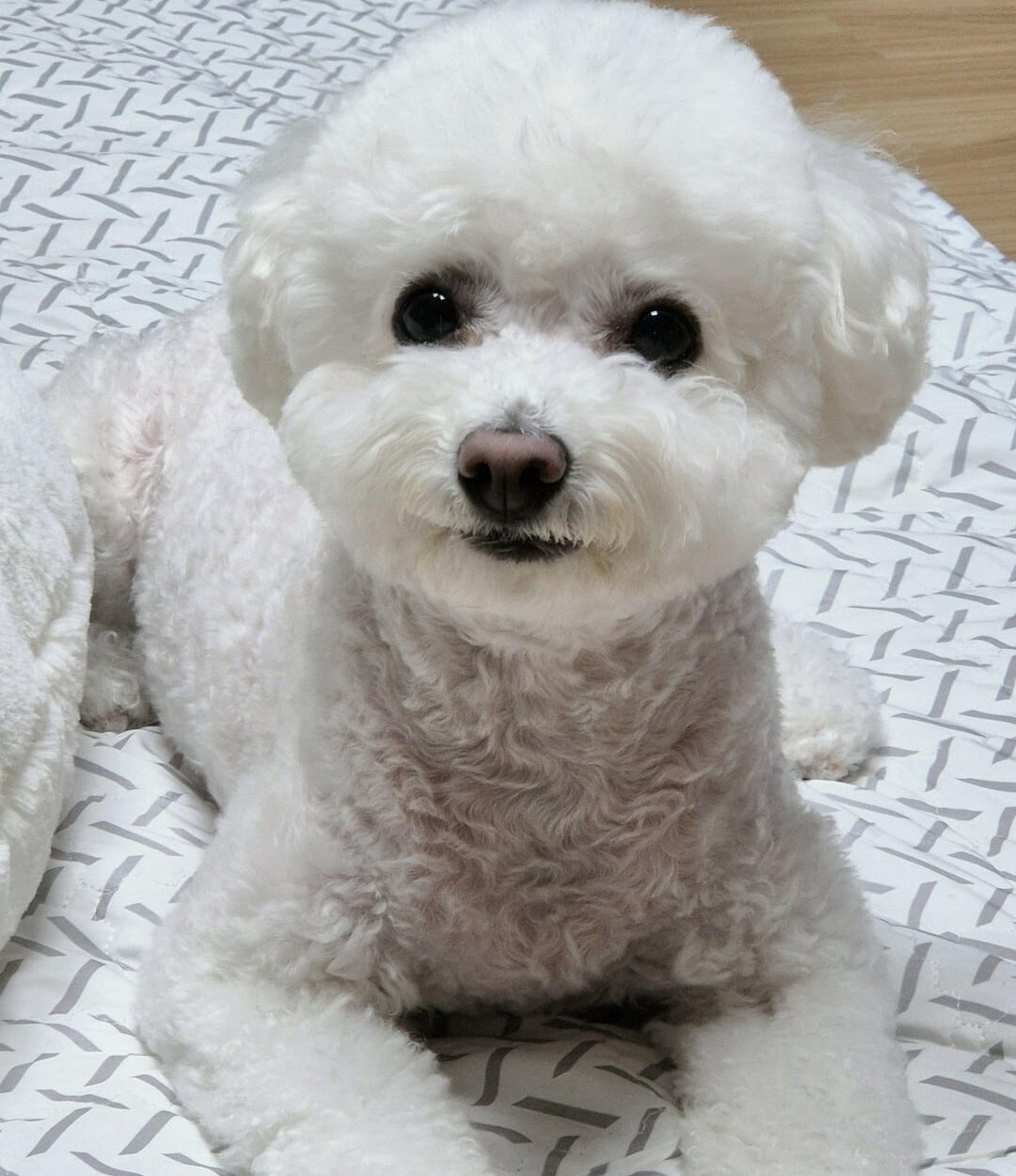 240916 Weverse: Sunghoon