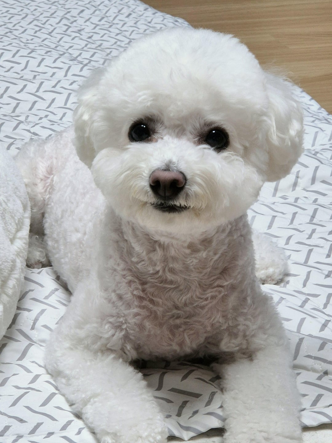 240916 Weverse: Sunghoon