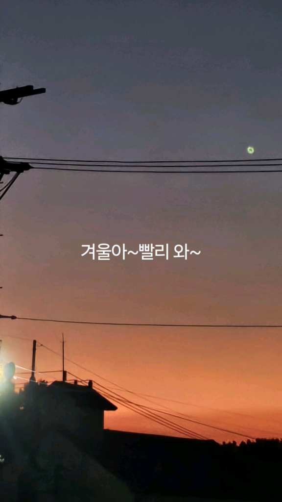 241017 Weverse: Ni-ki