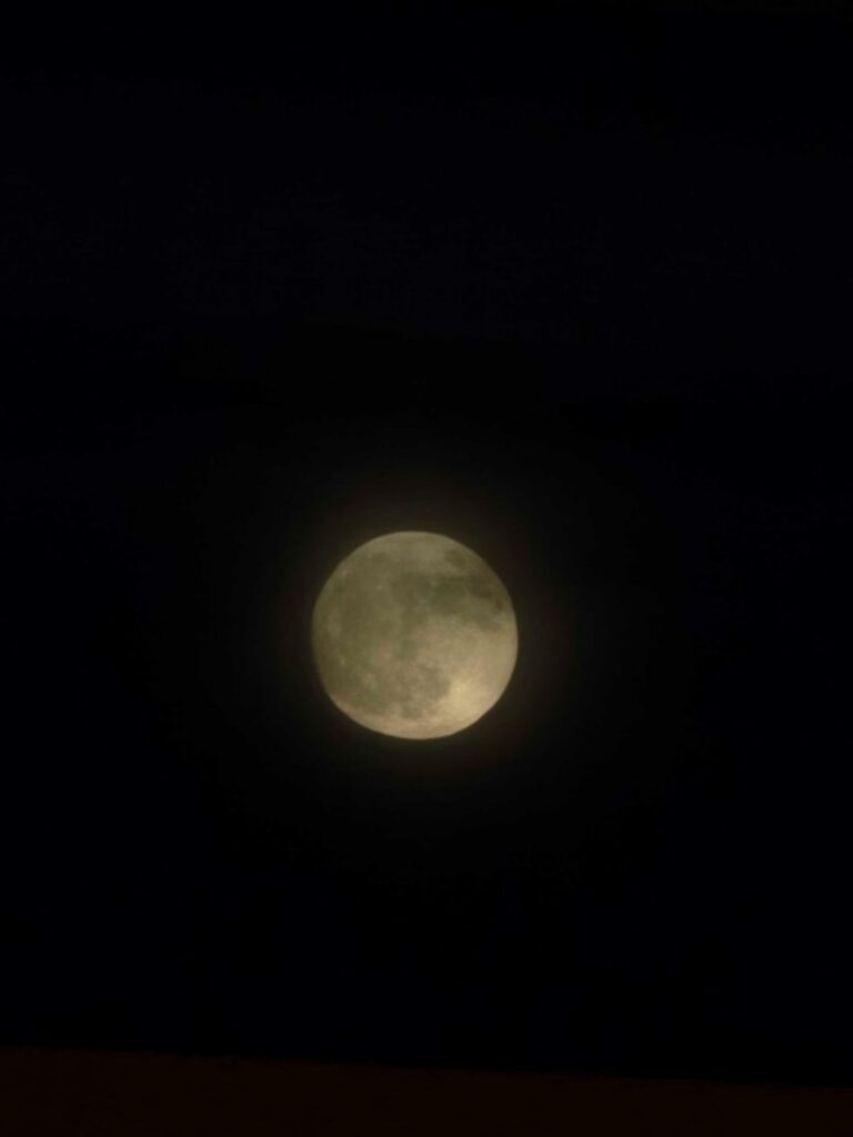250612 Weverse: Sunoo