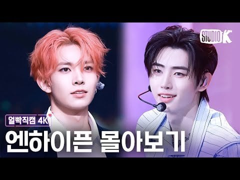 250526 [4K] Every Moment of ENGENE's beloved Vamprinces💘 ENHYPEN Legendary close-up Cam Collection