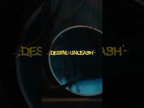 250427 ENHYPEN 'DESIRE : UNLEASH' Promotion Calendar