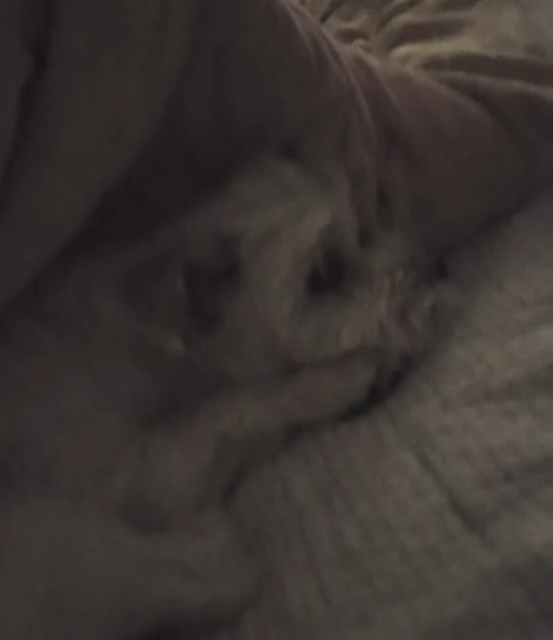 250508 Weverse: Jungwon