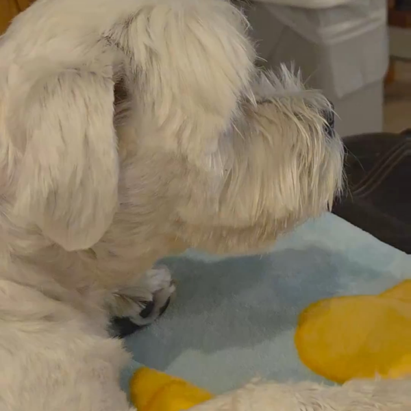 250506 Weverse: Jungwon