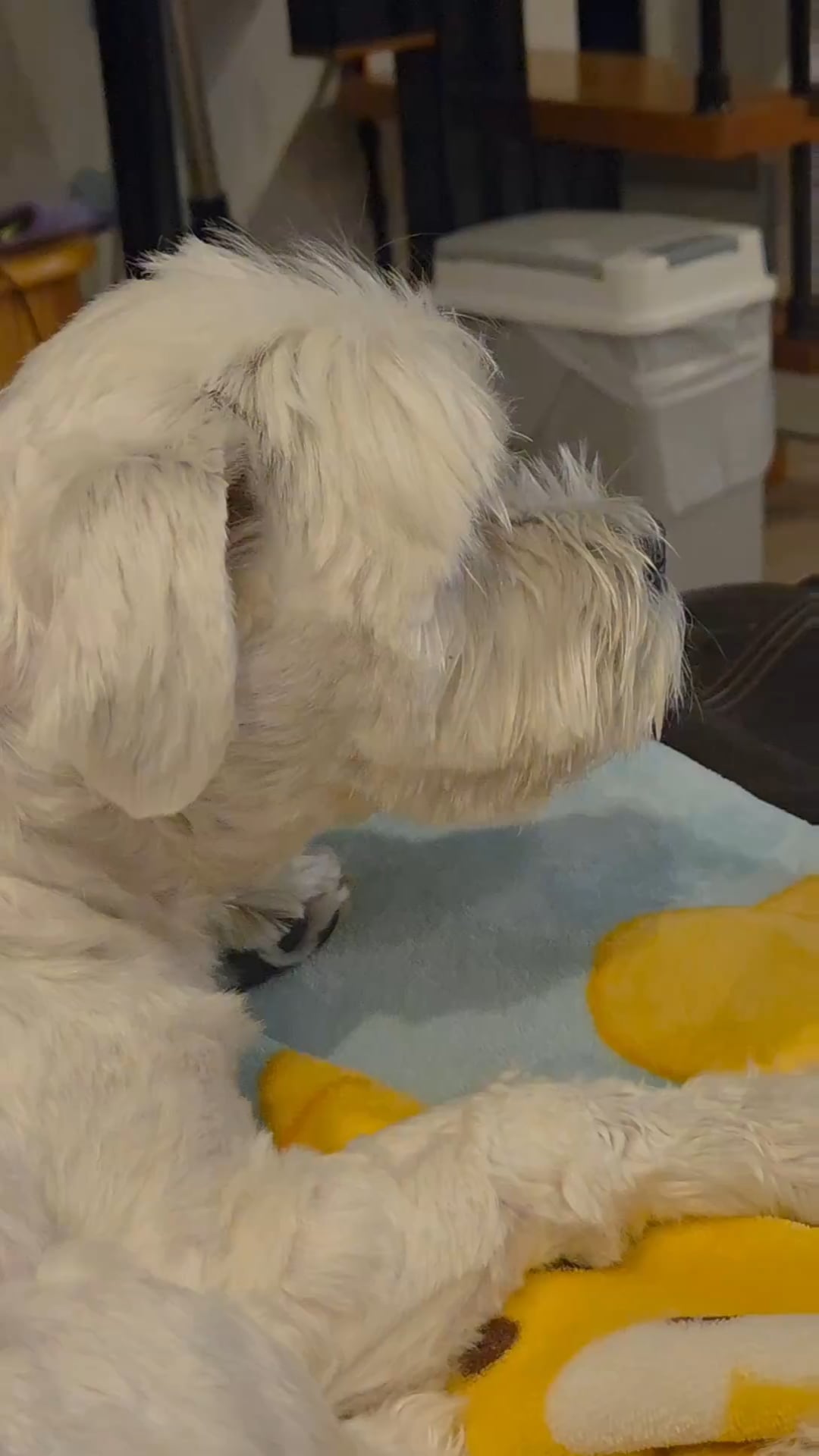 250506 Weverse: Jungwon