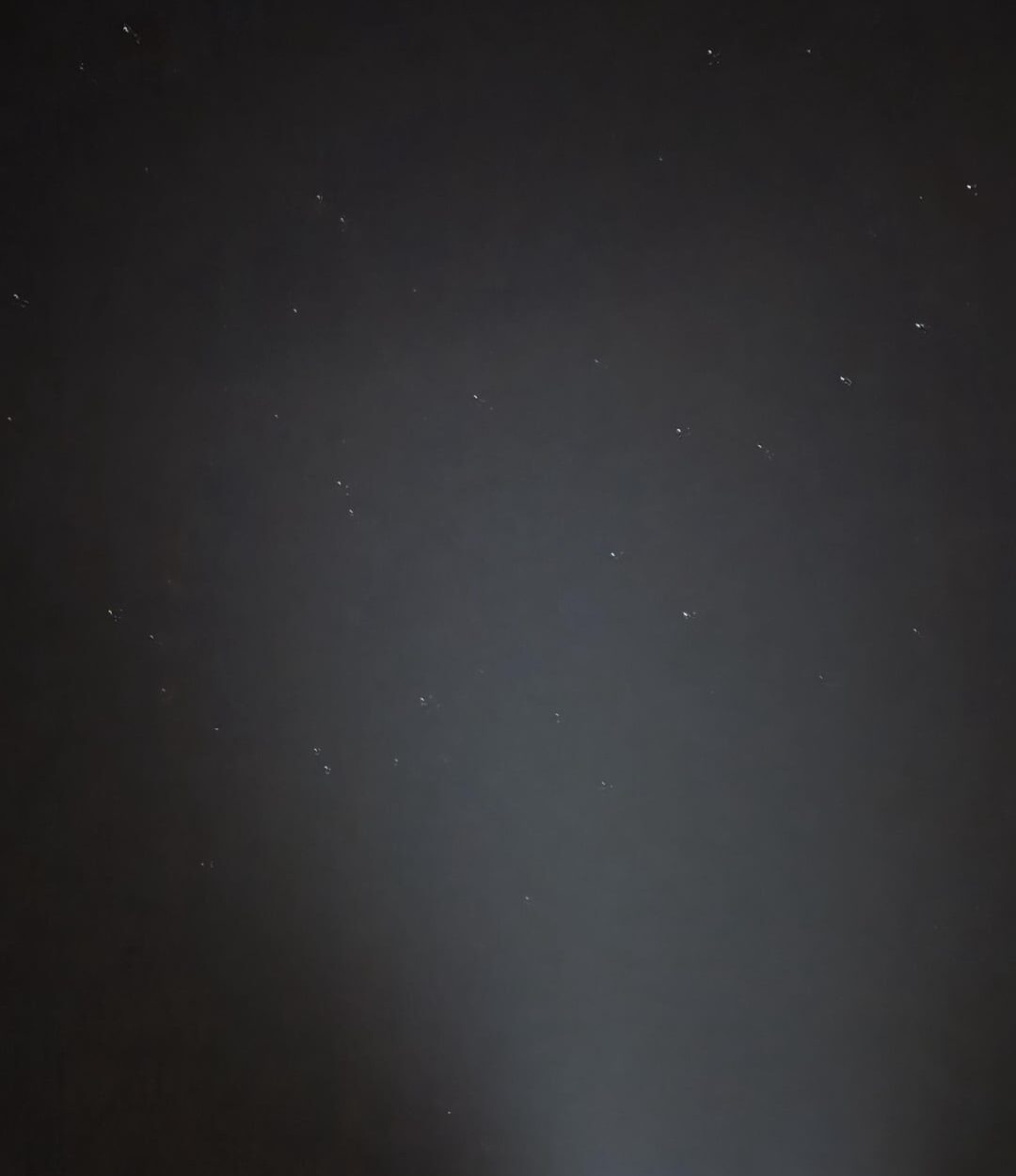 250510 Weverse: Sunoo