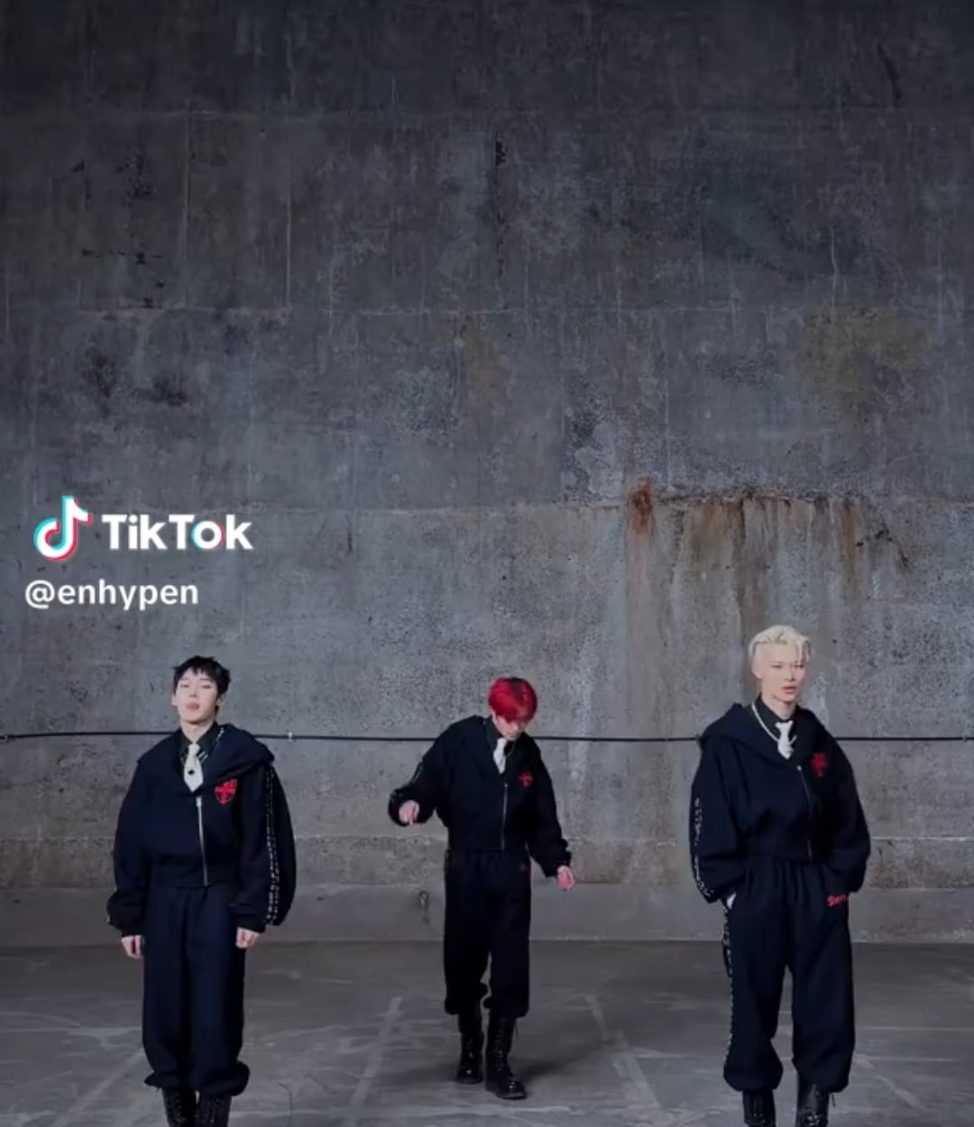 250609 Tiktok: Sunoo, Heeseung, Ni-ki @ Bad Desire