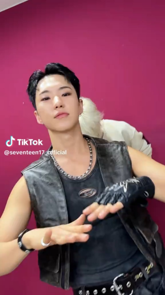 250607 SEVENTEEN Tiktok: Hoshi with Ni-ki @ Thunder