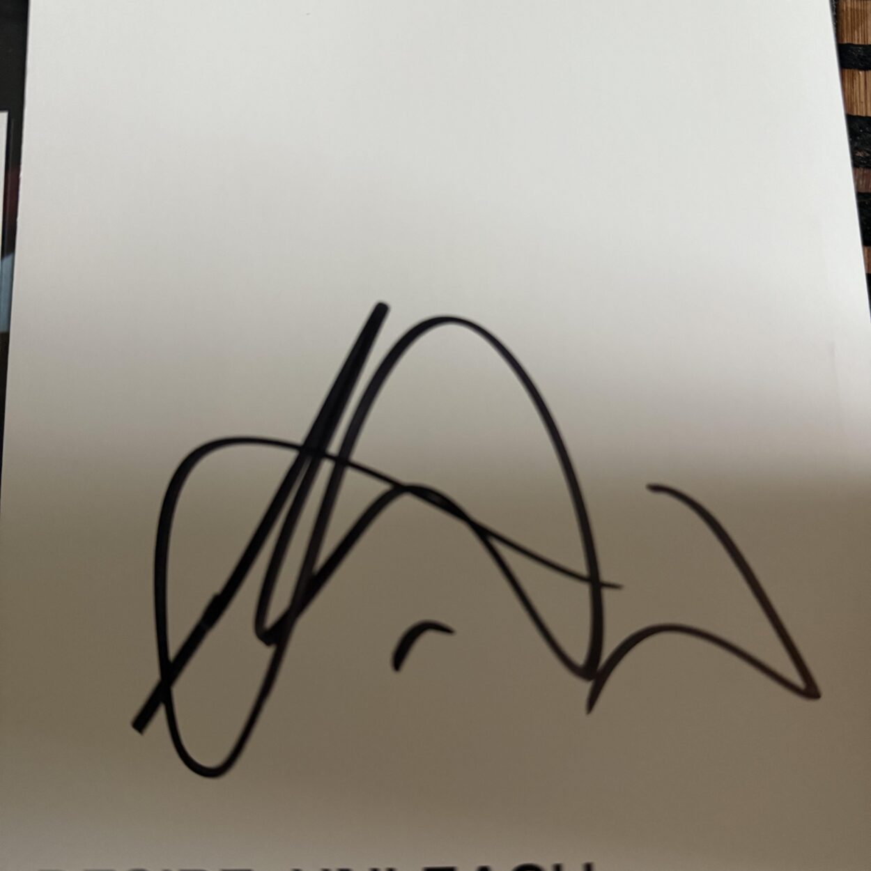 Which members signature is this?