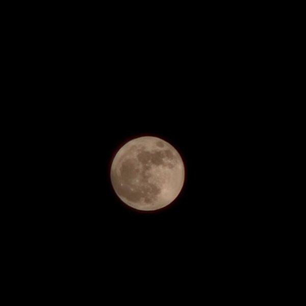 250513 Weverse: Sunoo