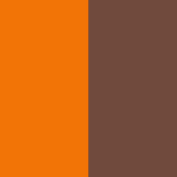 Which member has the most iconic orange look?