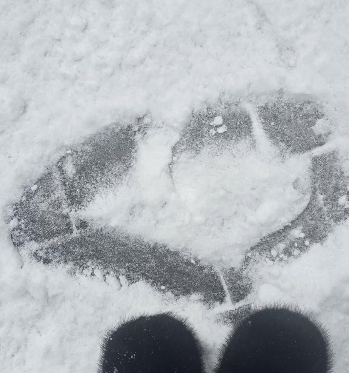 ENGENES show me your lockscreen!!