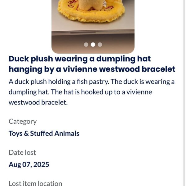 Lost Ni-Ki duck plush at UBS Arena Day 2