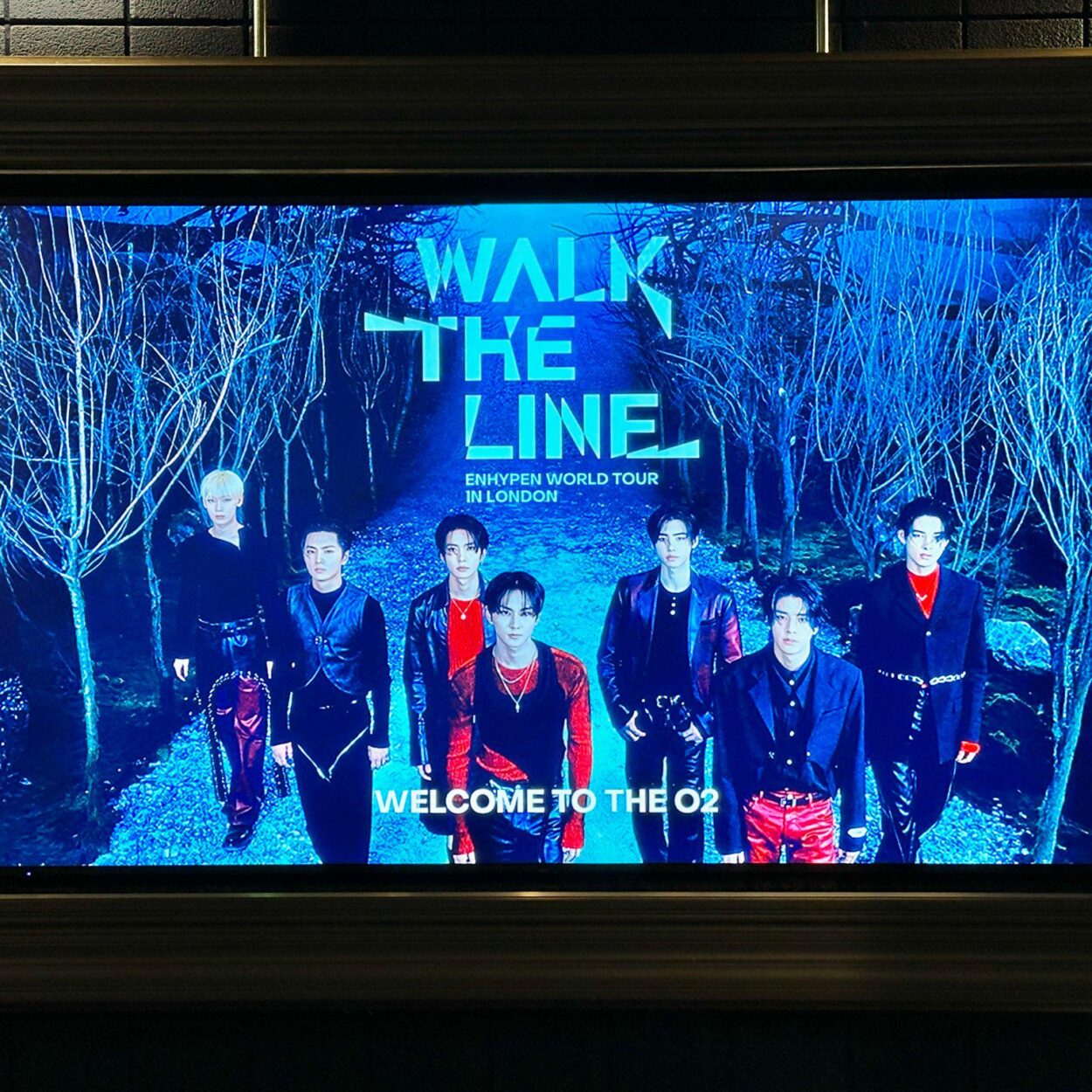 250822 Twitter: ENHYPEN OFFICIAL @ WALK THE LINE in London D-Day