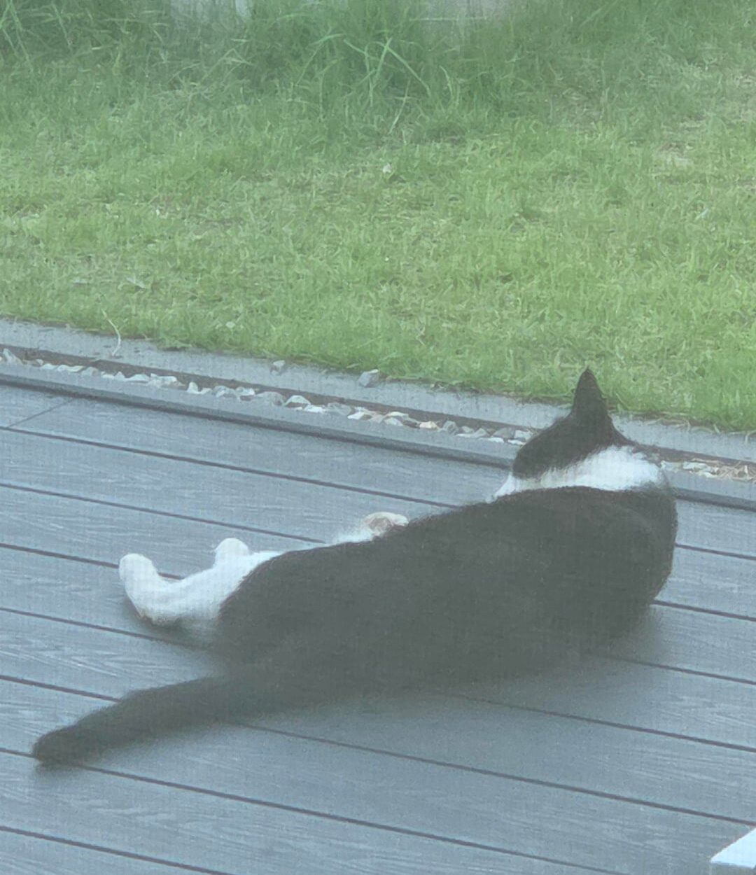 251010 Weverse: Sunoo